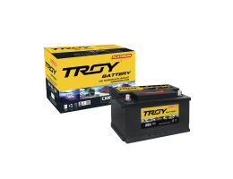 ẮC QUY TROY DIN 60 LBN